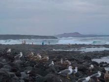el golfo lanzarote.jpg